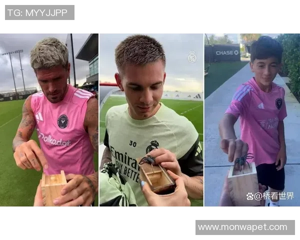 足球球星日常生活揭秘：从训练场到私人时光的真实瞬间